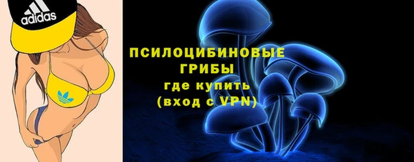 мет Богданович