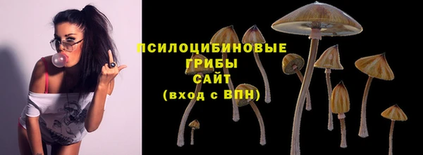 бутират Богородицк