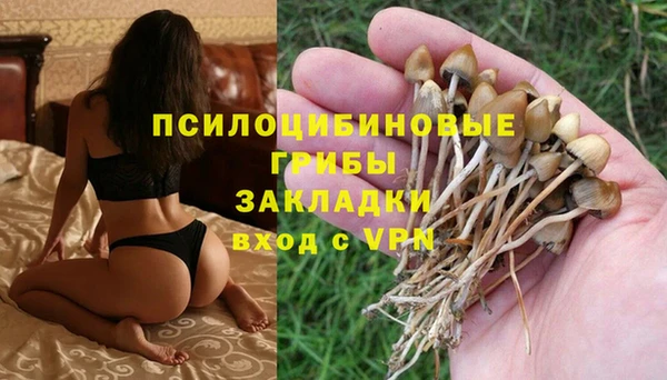 марки lsd Богородск