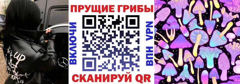 Псилоцибиновые грибы MAGIC MUSHROOMS  дарнет шоп  Тбилисская 